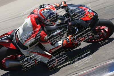 media/Aug-04-2024-TrackDaz (Sun) [[e1ff0814b6]]/Group A/1pm (Grapevine)/